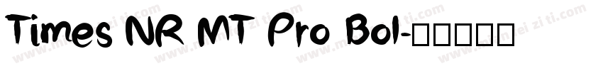 Times NR MT Pro Bol字体转换